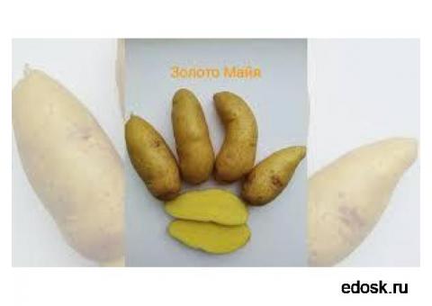 Сарпо Мира картофель на посадку 2022