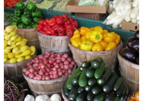 ООО Бона Фрут оптовая продажа овощей и фруктов