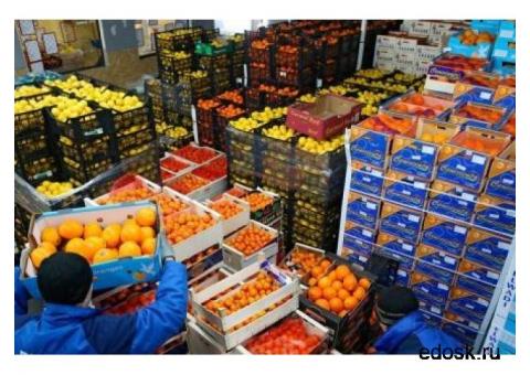 "БФ Компани" Торговля оптовая фруктами и овощами