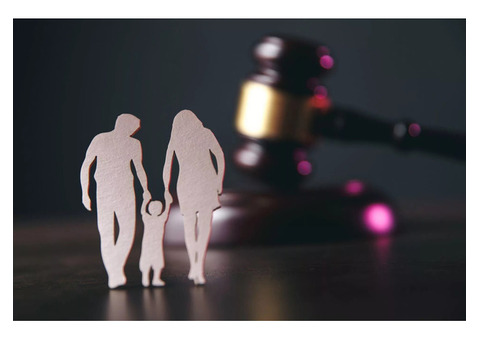 Помощь юриста в вопросах лишения родительских прав во Владивостоке
